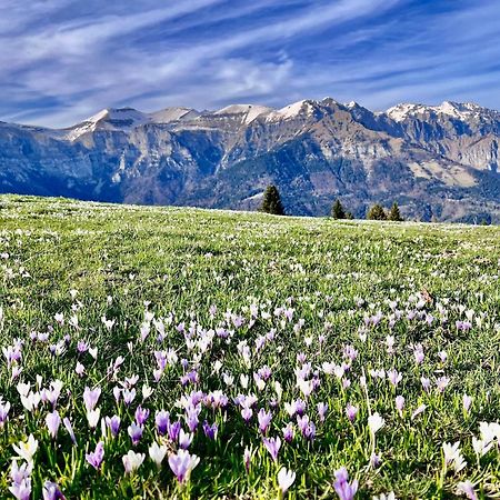 Willa Casa Delle Arti Fattoria Dei Fiori Sospirolo Zewnętrze zdjęcie