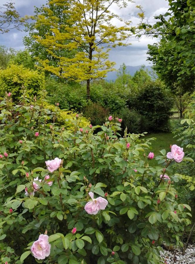 Willa Casa Delle Arti Fattoria Dei Fiori Sospirolo Zewnętrze zdjęcie