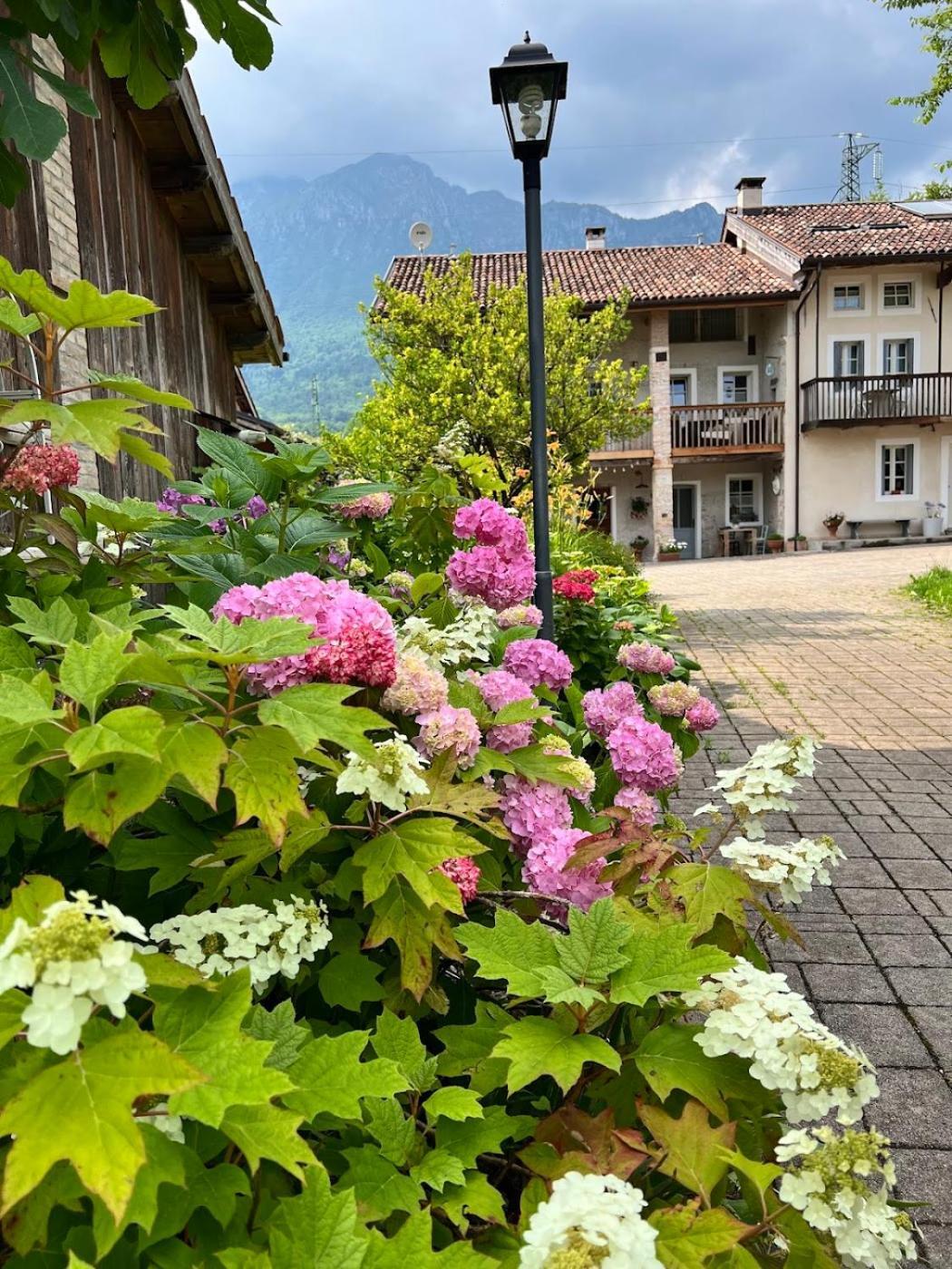 Willa Casa Delle Arti Fattoria Dei Fiori Sospirolo Zewnętrze zdjęcie